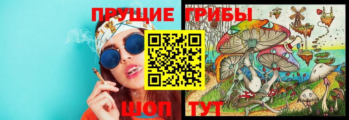 Черногорск  Псилоцибиновые грибы MAGIC MUSHROOMS  Вход с VPN  Псилоцибиновые грибы Psilocybine cubensis 