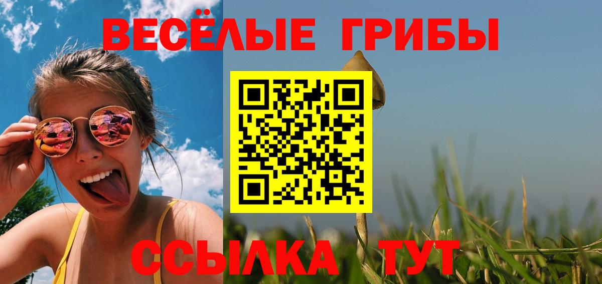 Псилоцибиновые грибы ЛСД Черногорск